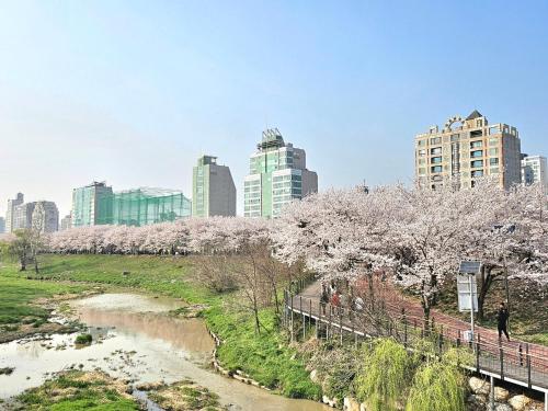 a city withakura trees and a river and buildings at Hej Hi Home II in Seoul