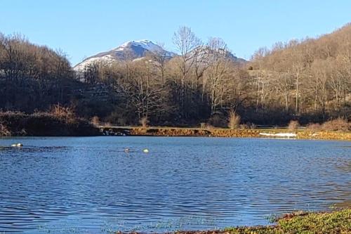 a lake with trees and a mountain in the background at Casa Anna Cerasuolo - intera casa indipendente in borgo in Cerasuolo
