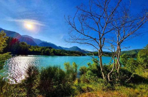 a lake with a tree and mountains in the background at Casa Anna Cerasuolo - intera casa indipendente in borgo in Cerasuolo