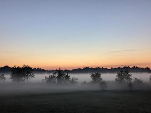 a foggy field with trees in the distance at sunset at Peedu saunamaja in Hiiumaa