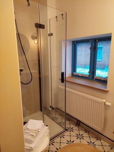 a bathroom with a shower and a toilet and a window at ALTE SCHEUNE Ferienwohnungen - Wohnung 1 in Suderburg