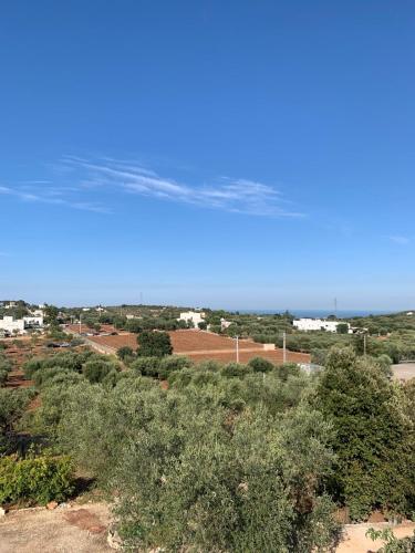 a view of a field with trees and a blue sky at Agape B&B Monopoli in Monopoli