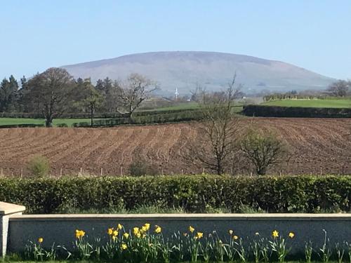 Photo de la galerie de l'établissement Country Cottage - Tourism NI Certified - Available for The Open Portrush 2025, à The Drones