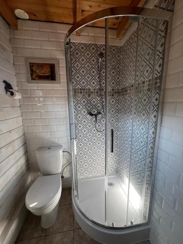a shower in a bathroom with a toilet at domek Pluski in Pluski