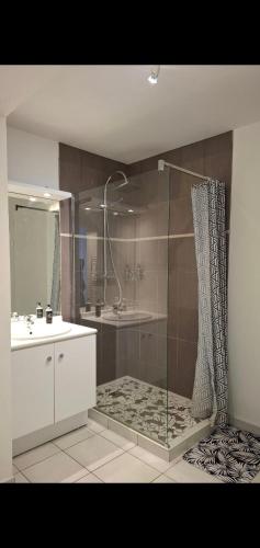 une salle de bain avec douche et lavabo dans l'établissement Perle centre ville, à Saint-Priest