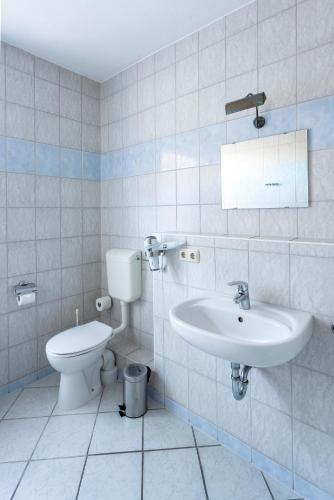 a bathroom with a toilet and a sink at U-Nautic Restaurant & Pension in Waren