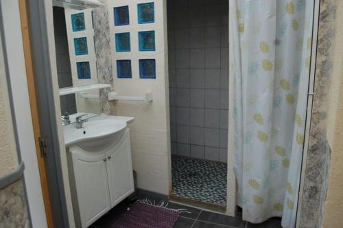une salle de bain avec un lavabo et une douche dans l'établissement Les écuries d'Ailly, à La Celle-sous-Gouzon