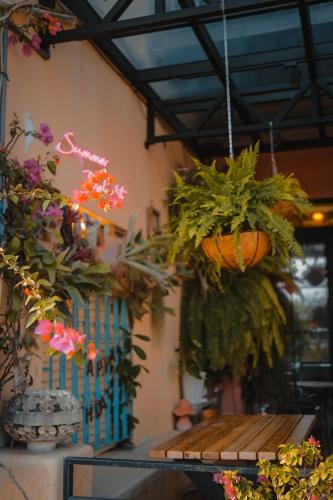 una mesa con un montón de plantas colgando del techo en Summer Delight B&B, en Nanwan