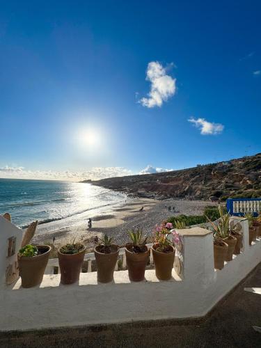 a row of potted plants on a wall near the beach at sunset taghazout in Taghazout