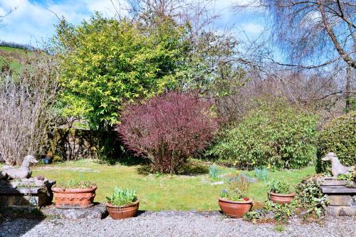 a garden with pots of plants in a yard at Finest Retreats - Cwmfron House in Llanidloes