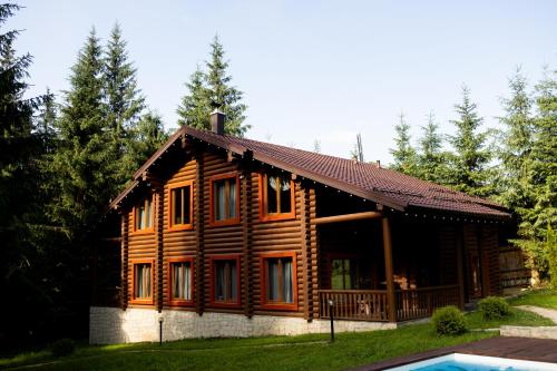 a log cabin with a pool in front of it at Маєток Ліс і Гори in Bukovel