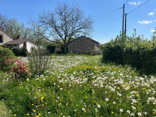 L'atelier aux fleurs sauvages Rebeuse Full of nature