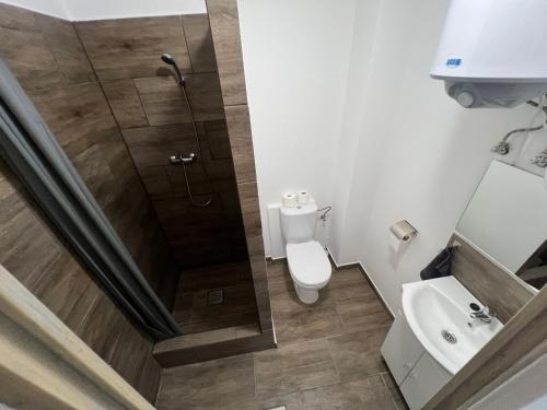 a bathroom with a shower and a toilet and a sink at Dream Home in Szentes