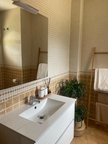 a bathroom with a white sink and a mirror at LA DESEADA 6 Personas in Soutullo