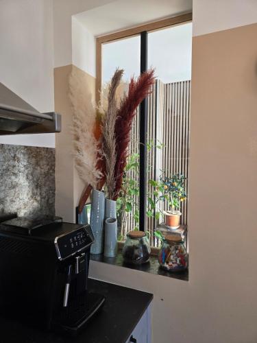 a kitchen with a window with plants on a counter at La Casa Mora Grande in Asson