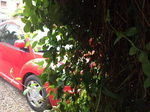 a red car is parked next to a tree at Hostal Pirineos in Barbastro