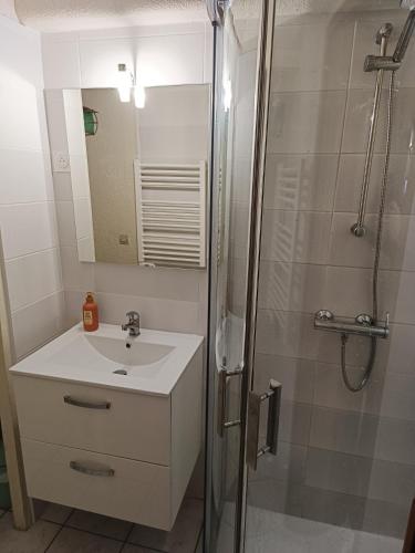 une salle de bain avec un lavabo et une douche avec un miroir dans l'établissement Maison Bord de lac 6 Personnes 2 Chambres, à Port-Leucate