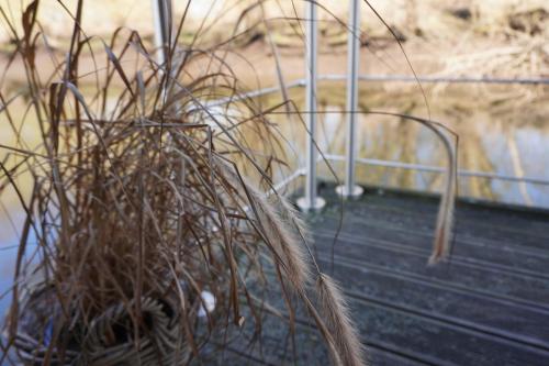 a plant sitting on top of a table at Hausboot Stöckte in Winsen Luhe