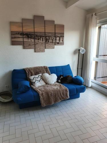 - un canapé bleu dans le salon avec un chat dans l'établissement Appart CAP D'AGDE, au Cap d'Agde