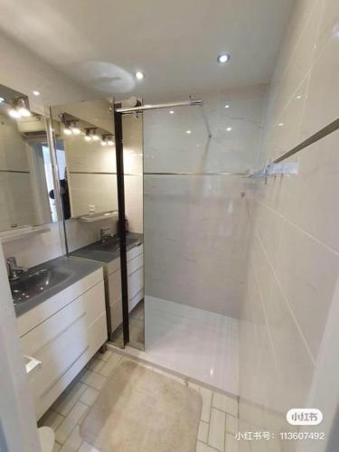 une salle de bain avec une douche en verre et un lavabo dans l'établissement Appart CAP D'AGDE, au Cap d'Agde