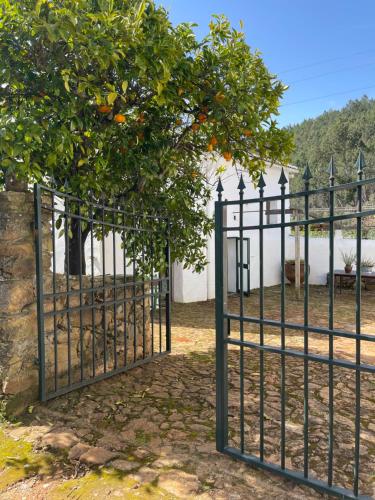 a gate with an orange tree behind it at Casa do Olho D'Água in Portalegre