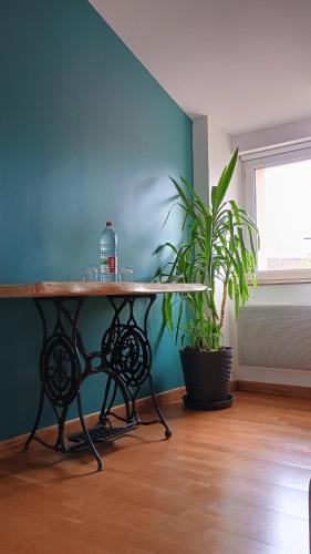 une table dans une pièce avec une plante en pot dans l'établissement La Rustica, à Saint-Michel-Mont-Mercure