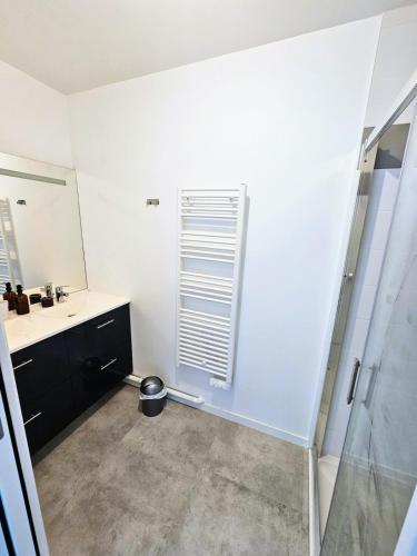 une salle de bain avec une douche, un lavabo et un miroir dans l'établissement Confort, Vue imprenable & terrasse XXL, à Couëron