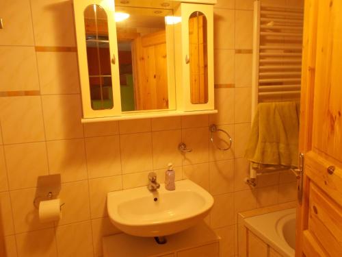 a bathroom with a sink and a mirror at Muldentaler in Leisnig