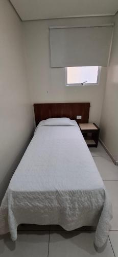 a bedroom with a large bed with a window at Hotel Plaza Olido in Sao Paulo