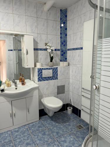 a bathroom with a toilet and a sink at Bergblick Balkon Bruck an der Mur in Bruck an der Mur