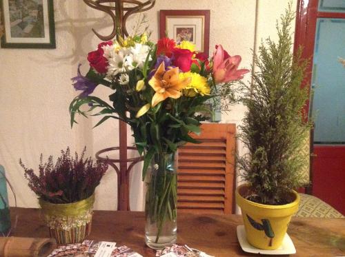a vase filled with flowers on a table at Hostal Pirineos in Barbastro