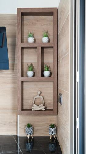 a room with wooden shelves with potted plants on them at Villa Zachos in Pitsidia