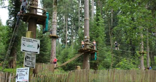 a group of people on a zip line in a forest at Gîte Le p'tit Chasseral in Maîche