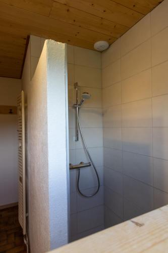 Gîte "La Partie de Bise", 12 personnesにあるバスルーム