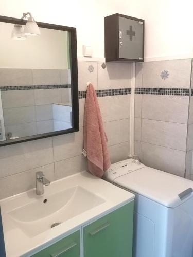 a bathroom with a sink and a washing machine at Escale Alsacienne à Sélestat in Sélestat