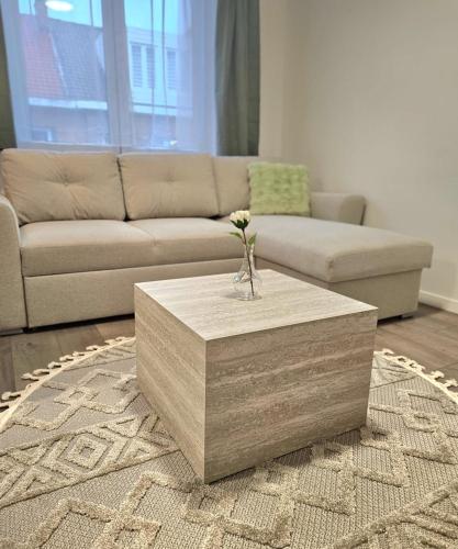 a living room with a couch and a coffee table at Brussels apartment with terrace 2 in Brussels