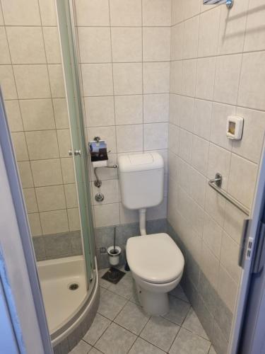 a small bathroom with a toilet and a shower at Apartment Lavanda in Pješčana Uvala