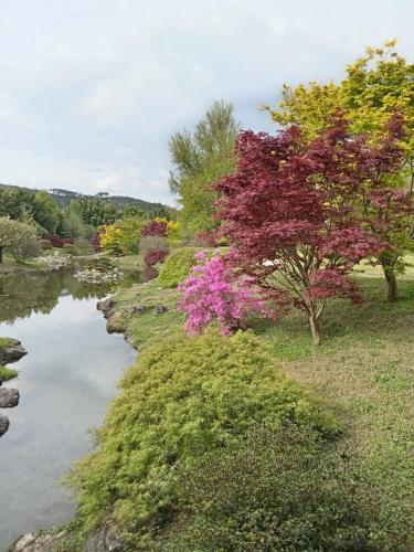 une rivière avec un arbre aux fleurs violettes à côté de celle-ci dans l'établissement Chambre d'Hôte dans MAS proche Anduze Cévennes avec piscine, à Mialet