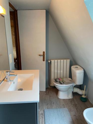 une salle de bain avec toilettes et lavabo dans l'établissement Gite en pierres à la campagne, à Tamniès