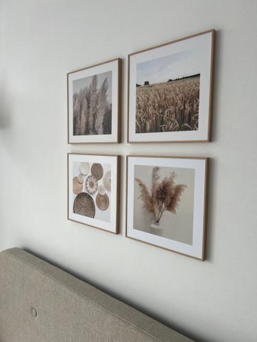four framed pictures on a wall with a field at Geri Harmony Home in Zalaegerszeg