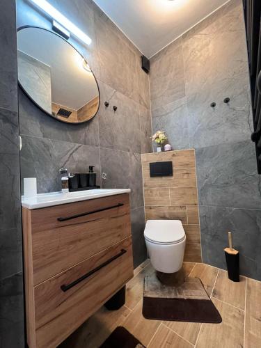 a bathroom with a toilet and a mirror at Willa Górski Relaks in Sromowce Niżne