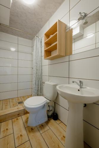 a bathroom with a toilet and a sink at Domki Leśne Uroczysko in Ustka