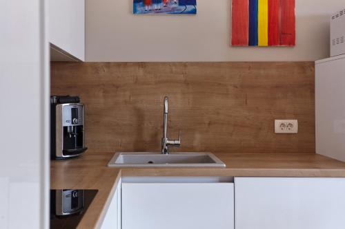 Il comprend une cuisine équipée d'un évier et d'une cafetière. dans l'établissement MonteBay Apart with POOL, à Gornji Orahovac