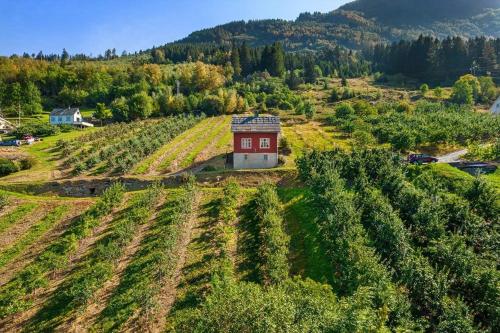 an aerial view of a vineyard with a house on a hill at The queen path right from the house in Tveit