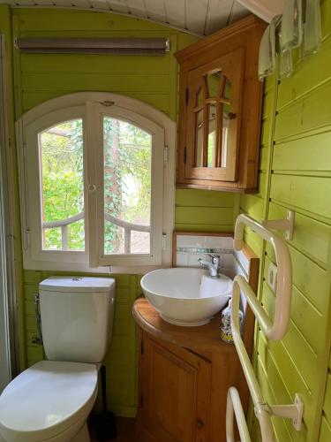 a green bathroom with a toilet and a sink at Maison d'hôtes Il était une fois in Pont-lʼÉvêque