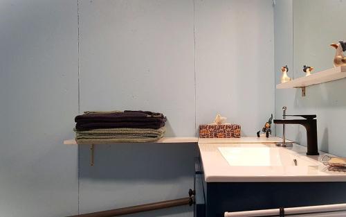 a bathroom with a sink and a counter top at Joli studio à la ferme avec patio couvert in Saint-Germain-du-Bois