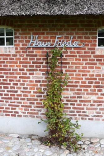a vine growing on the side of a brick building at Reetdachhaus Frieda Aventoft in Aventoft
