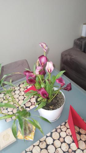 Bora Home Albania me vetshërbim 24 orë pranë Liqenit