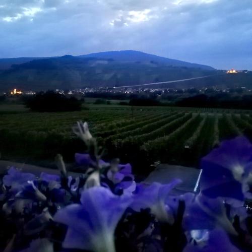 Γενική θέα στο βουνό ή θέα στο βουνό από  αυτό το bed & breakfast