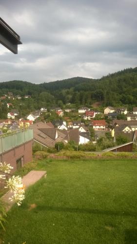 a view of a city with a green lawn at Pension Margarethe in Biedenkopf